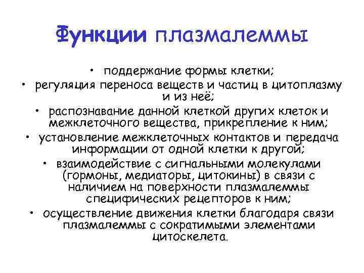 Функции плазмалеммы • поддержание формы клетки; • регуляция переноса веществ и частиц в цитоплазму