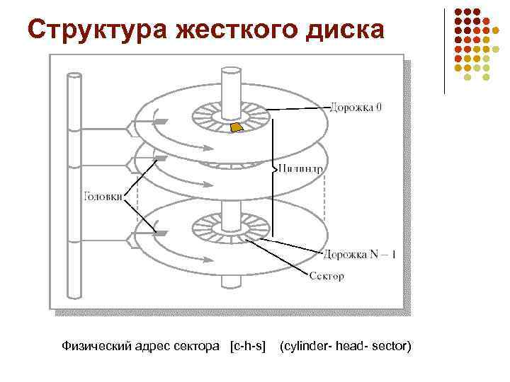 Структура жесткого диска Физический адрес сектора [c-h-s] (cylinder- head- sector) 