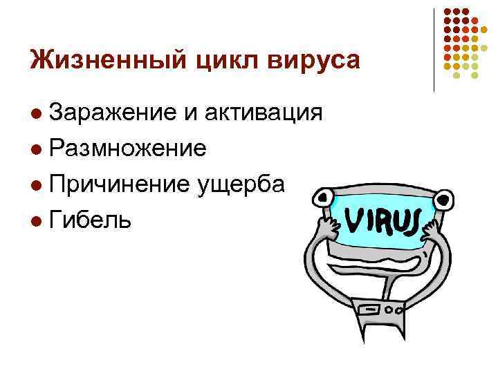 Жизненный цикл вируса Заражение и активация l Размножение l Причинение ущерба l Гибель l