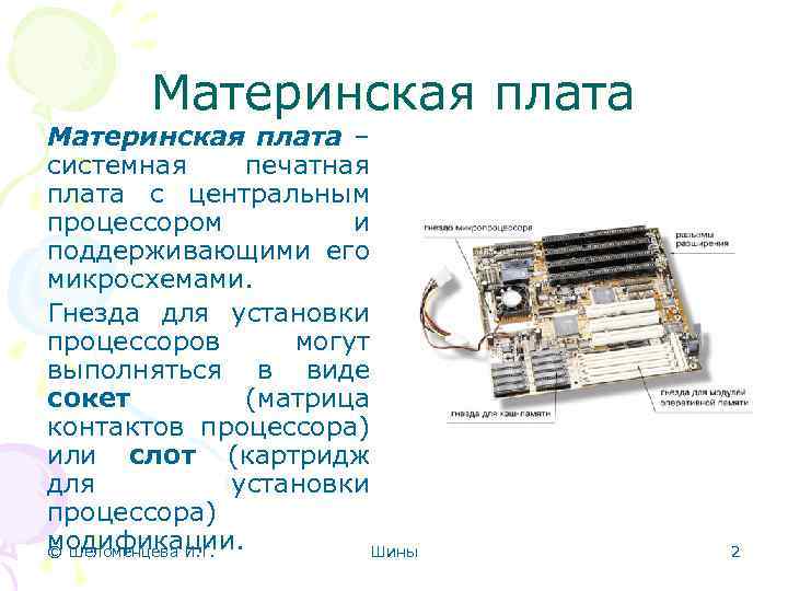 Материнская плата – системная печатная плата с центральным процессором и поддерживающими его микросхемами. Гнезда