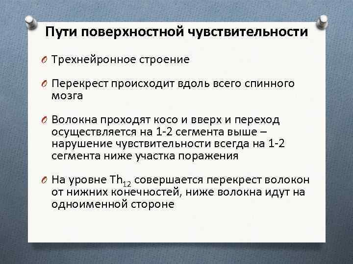 Пути поверхностной чувствительности O Трехнейронное строение O Перекрест происходит вдоль всего спинного мозга O