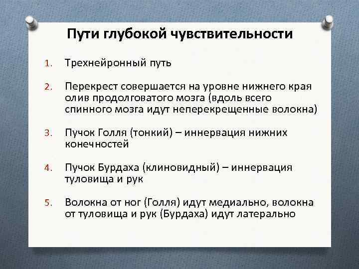 Пути глубокой чувствительности 1. Трехнейронный путь 2. Перекрест совершается на уровне нижнего края олив