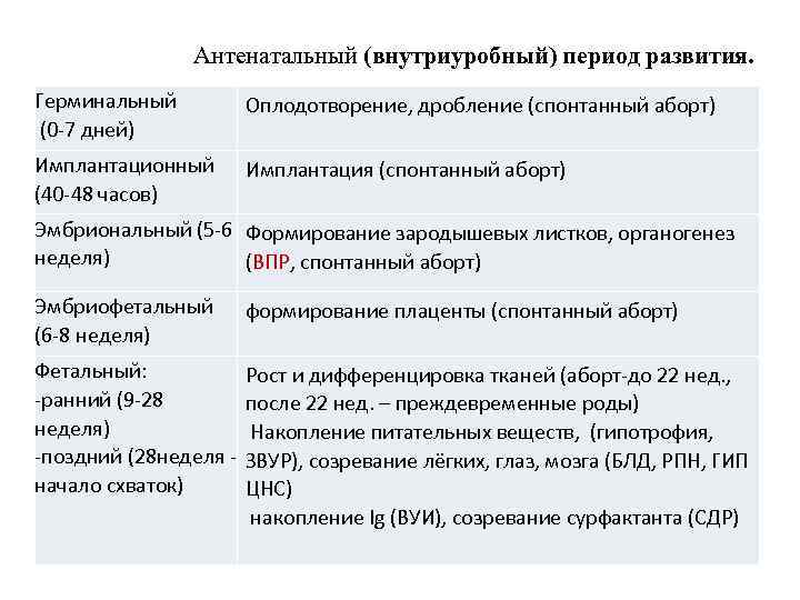 Антенатальный (внутриуробный) период развития. Герминальный (0 -7 дней) Оплодотворение, дробление (спонтанный аборт) Имплантационный (40