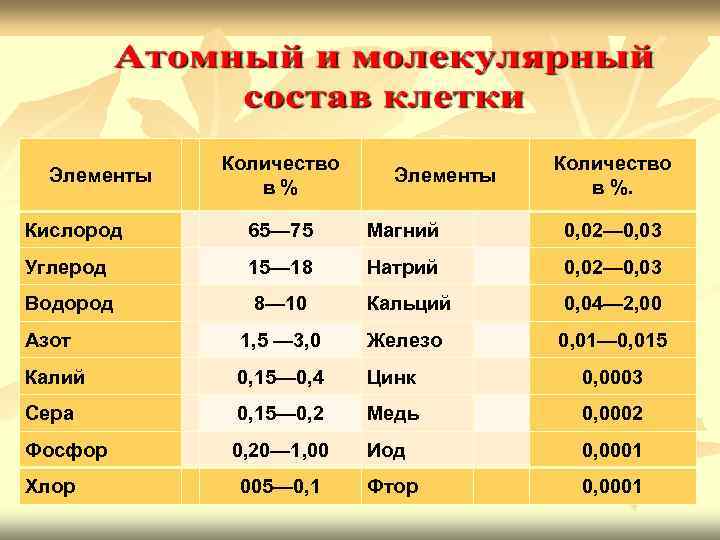  Количество в % Киcлород 65— 75 Магний 0, 02— 0, 03 Углерод 15—