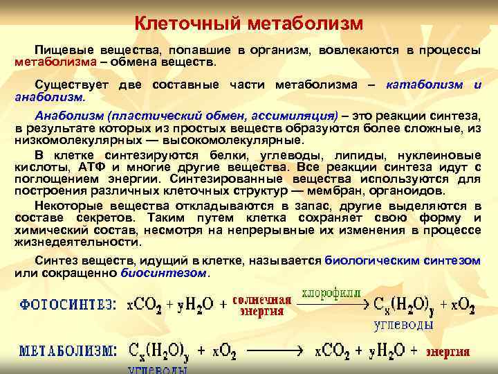 Сходство обмена веществ в клетках