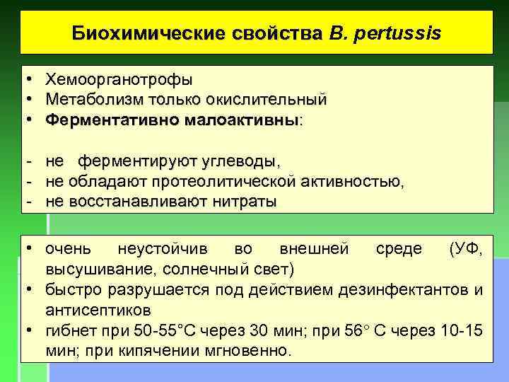 Биохимические свойства B. pertussis • • • Хемоорганотрофы Метаболизм только окислительный Ферментативно малоактивны: -