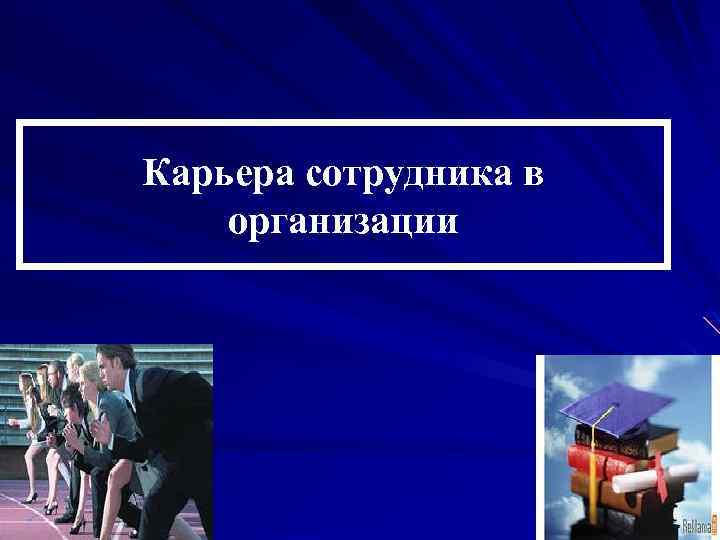 Карьера сотрудника в организации 