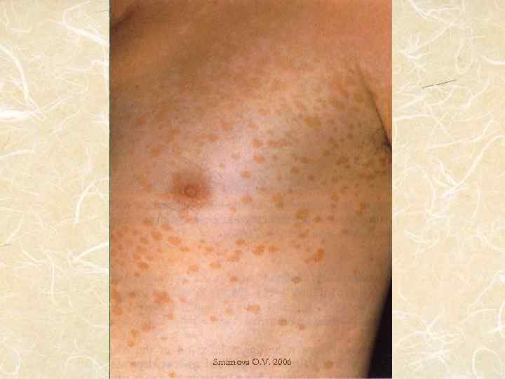 Smirnova O. V. 2006 