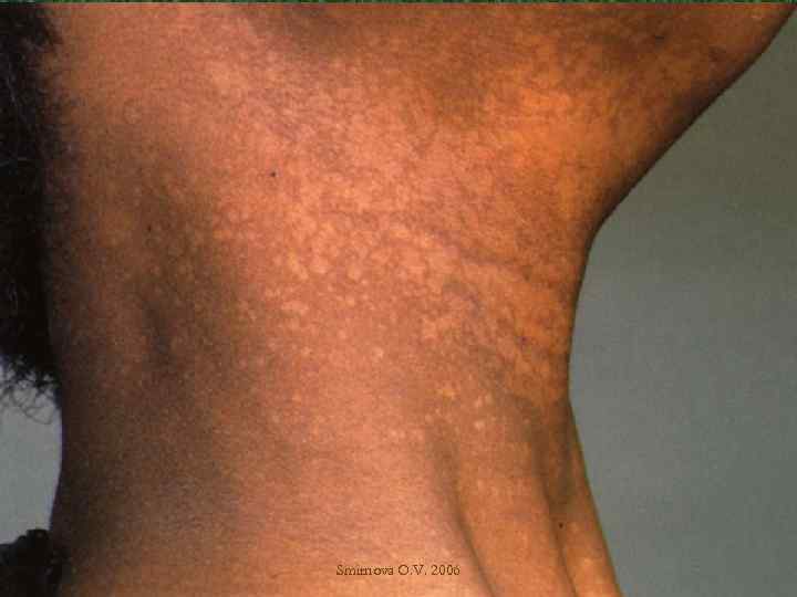 Smirnova O. V. 2006 