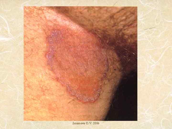 Smirnova O. V. 2006 