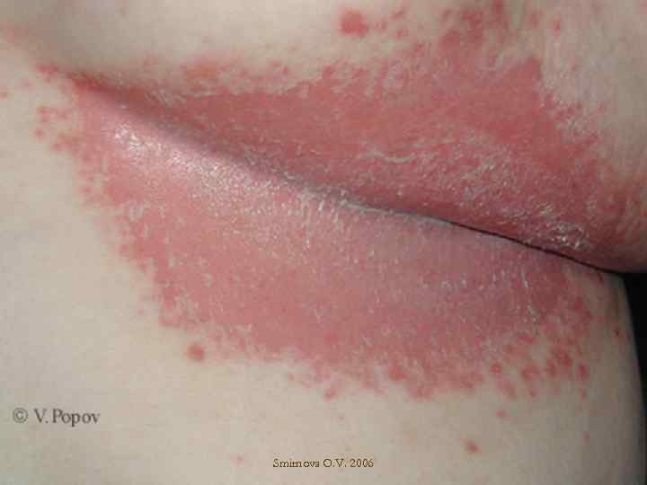 Smirnova O. V. 2006 
