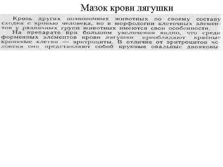 Мазок крови лягушки 