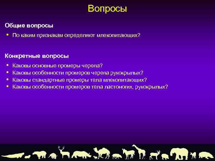 Вопросы Общие вопросы • По каким признакам определяют млекопитающих? Конкретные вопросы • • Каковы