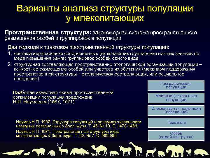 Варианты анализа структуры популяции у млекопитающих Пространственная структура: закономерная система пространственного размещения особей и