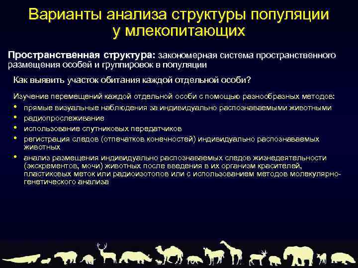 Варианты анализа структуры популяции у млекопитающих Пространственная структура: закономерная система пространственного размещения особей и