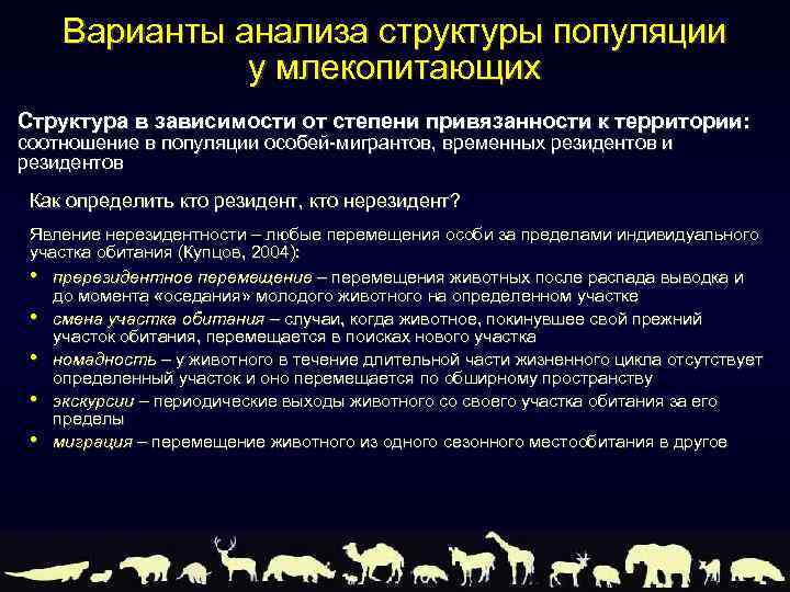 Варианты анализа структуры популяции у млекопитающих Структура в зависимости от степени привязанности к территории: