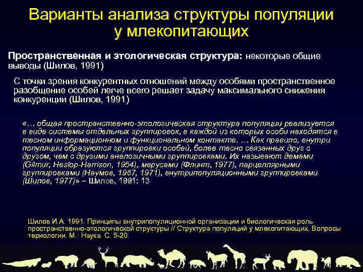 Варианты анализа структуры популяции у млекопитающих Пространственная и этологическая структура: некоторые общие выводы (Шилов,