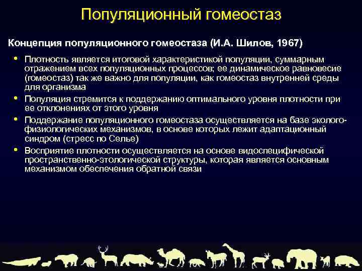 Популяционный гомеостаз Концепция популяционного гомеостаза (И. А. Шилов, 1967) • • Плотность является итоговой