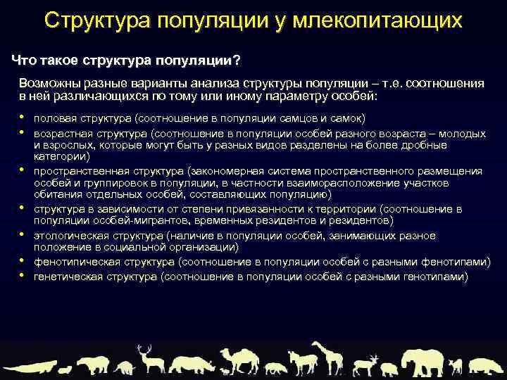 Структура популяции у млекопитающих Что такое структура популяции? Возможны разные варианты анализа структуры популяции