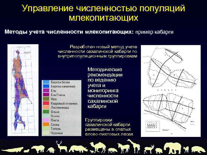 Проект о восстановлении численности млекопитающих