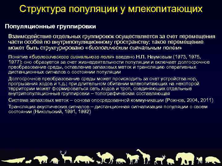 Структура популяции у млекопитающих Популяционные группировки Взаимодействие отдельных группировок осуществляется за счет перемещения части