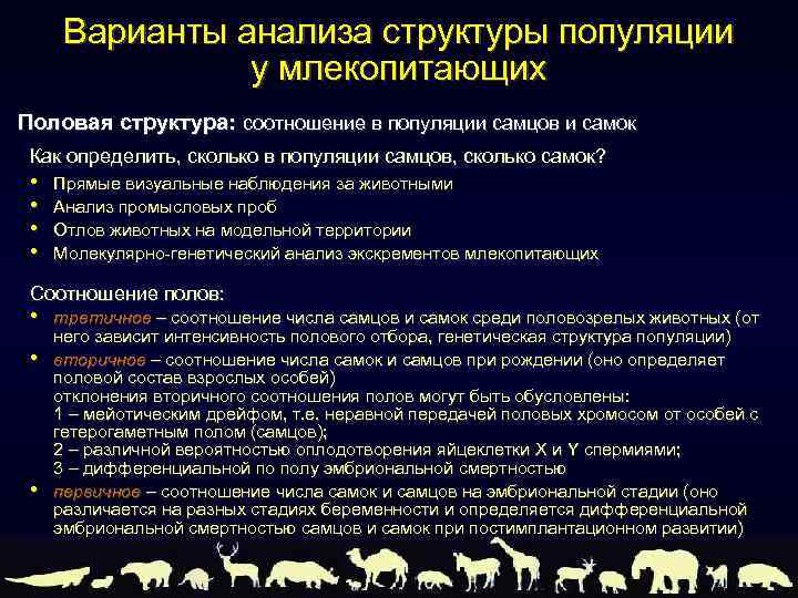 Варианты анализа структуры популяции у млекопитающих Половая структура: соотношение в популяции самцов и самок