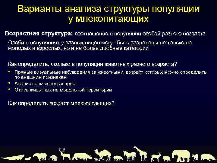 Варианты анализа структуры популяции у млекопитающих Возрастная структура: соотношение в популяции особей разного возраста