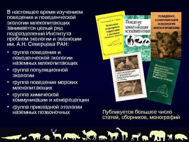 В настоящее время изучением поведения и поведенческой экологии млекопитающих занимается целый ряд подразделений Института