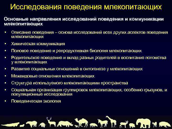 Исследования поведения млекопитающих Основные направления исследований поведения и коммуникации млекопитающих • Описание поведения –