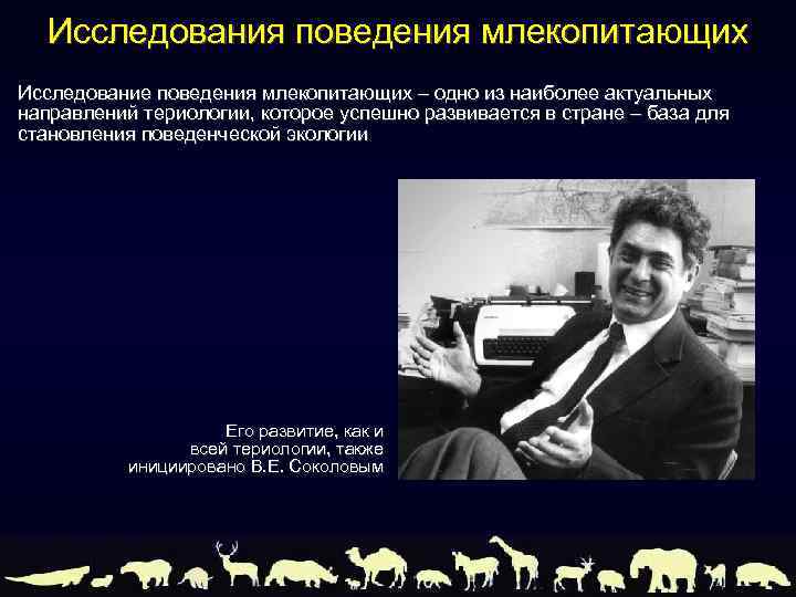 Исследования поведения млекопитающих Исследование поведения млекопитающих – одно из наиболее актуальных направлений териологии, которое