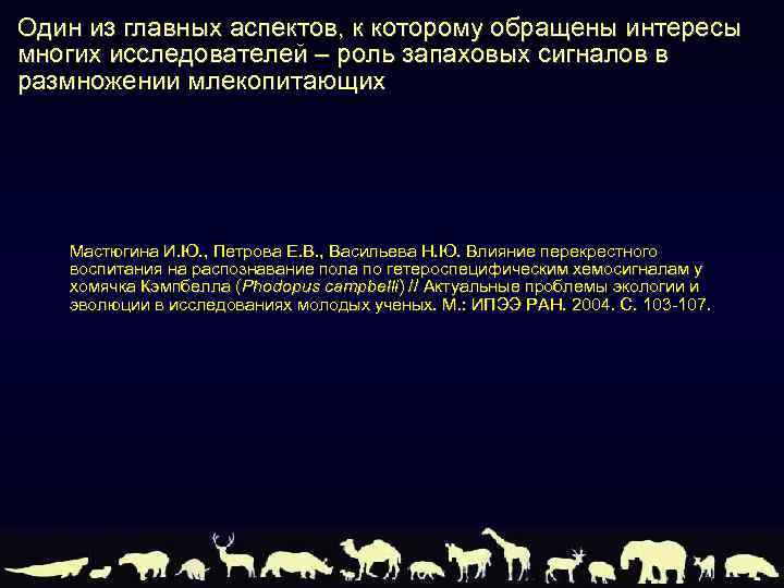 Один из главных аспектов, к которому обращены интересы многих исследователей – роль запаховых сигналов