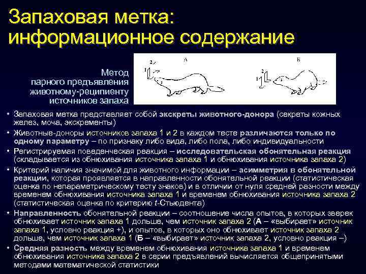 Запаховая метка: информационное содержание Метод парного предъявления животному-реципиенту источников запаха • Запаховая метка представляет