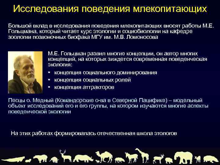 Исследования поведения млекопитающих Большой вклад в исследования поведения млекопитающих вносят работы М. Е. Гольцмана,