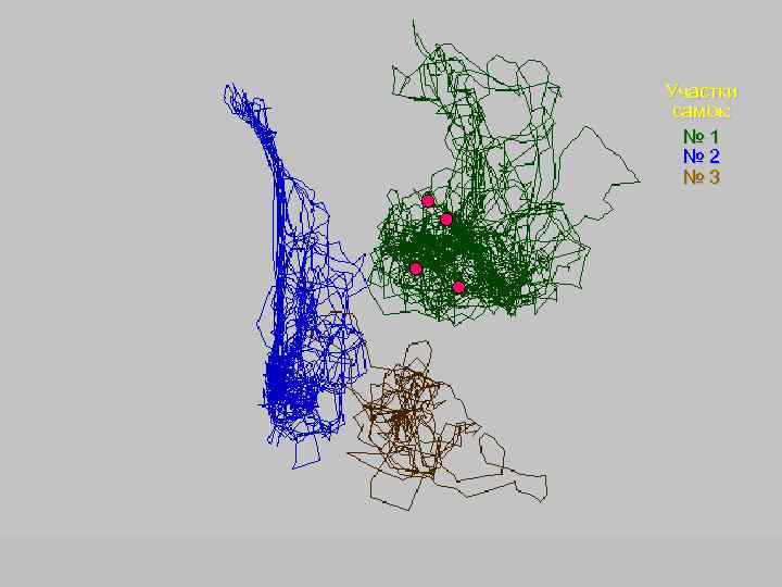 Участки самок: № 1 № 2 № 3 