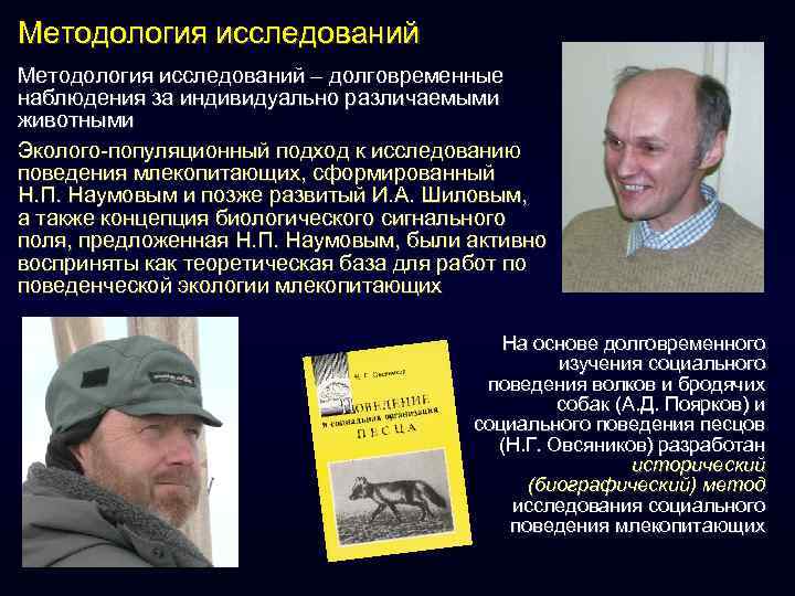 Методология исследований – долговременные наблюдения за индивидуально различаемыми животными Эколого-популяционный подход к исследованию поведения