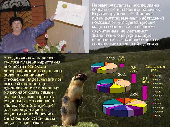 Первые результаты исследований социальности наземных беличьих Евразии группой С. А. Шиловой путем долговременных наблюдений