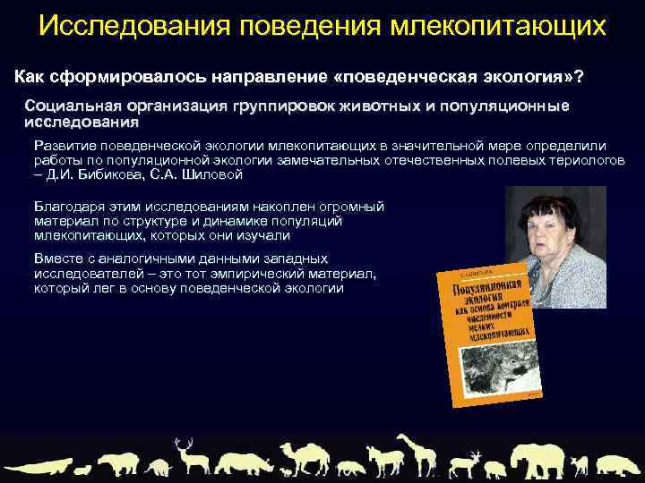Исследования поведения млекопитающих Как сформировалось направление «поведенческая экология» ? Социальная организация группировок животных и