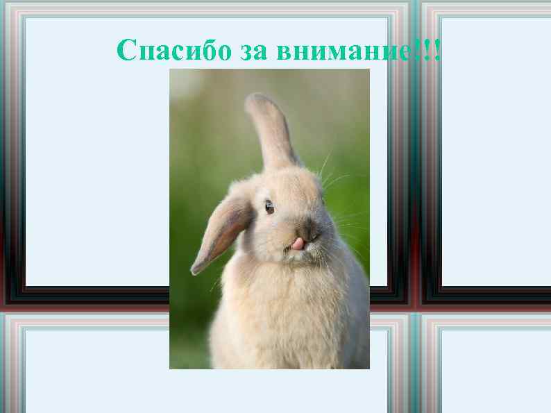 Спасибо за внимание!!! 