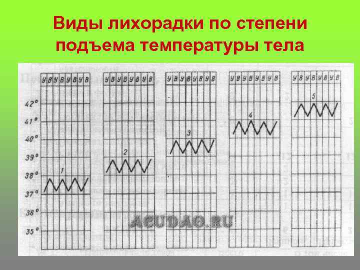 Виды лихорадки по степени подъема температуры тела 