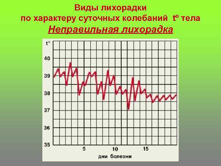 Виды лихорадки по характеру суточных колебаний tº тела Неправильная лихорадка 