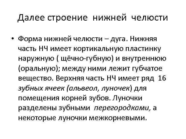 Далее строение нижней челюсти • Форма нижней челюсти – дуга. Нижняя часть НЧ имеет