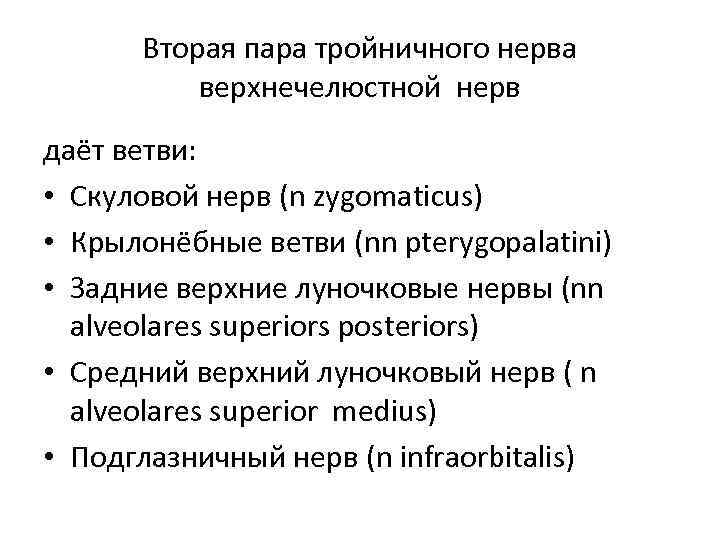 Вторая пара тройничного нерва верхнечелюстной нерв даёт ветви: • Скуловой нерв (n zygomaticus) •