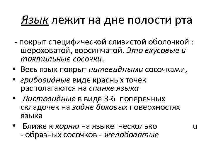  Язык лежит на дне полости рта - покрыт специфической слизистой оболочкой : шероховатой,