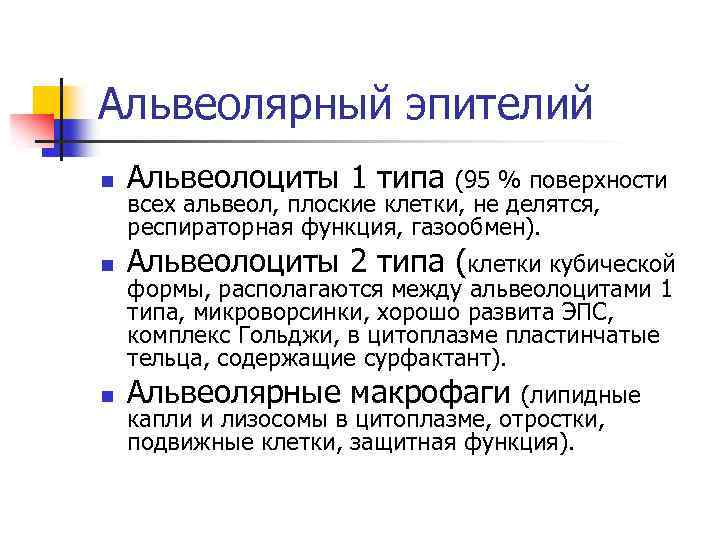 Альвеолярный эпителий n Альвеолоциты 1 типа n Альвеолоциты 2 типа (клетки кубической n Альвеолярные