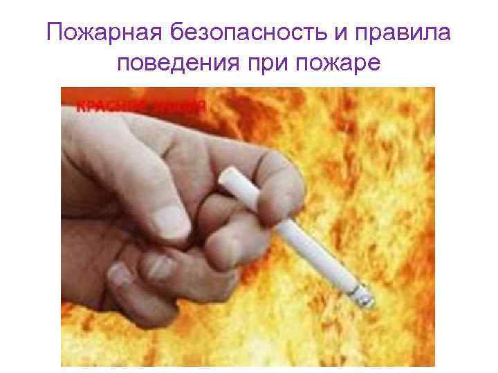 Пожарная безопасность и правила поведения при пожаре 
