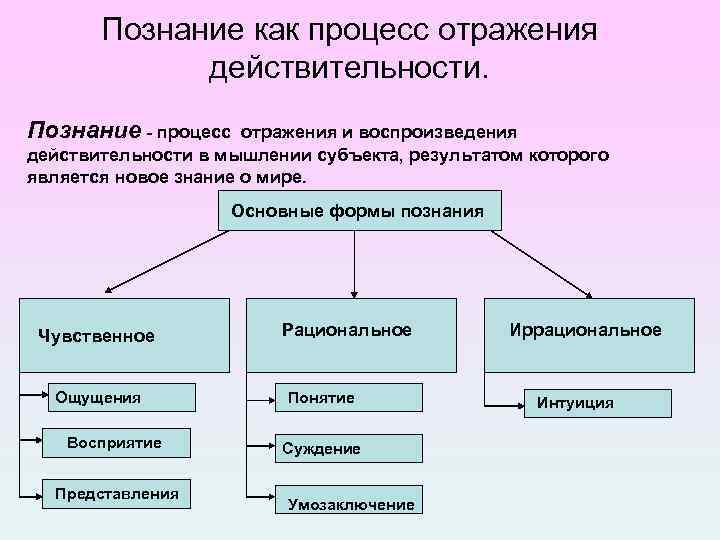 Начальным процессом познания является