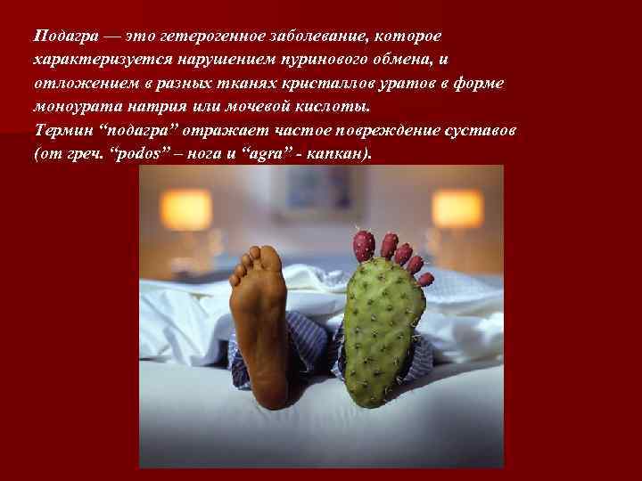 Подагра — это гетерогенное заболевание, которое характеризуется нарушением пуринового обмена, и отложением в разных