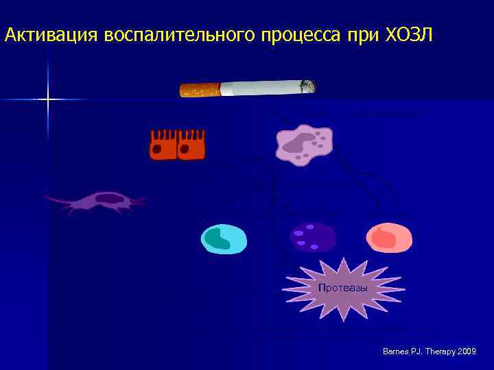Активация воспалительного процесса при ХОЗЛ Сигаретный дым (и другие ирританты) Альвеолярный макрофаг Эпителиальные клетки