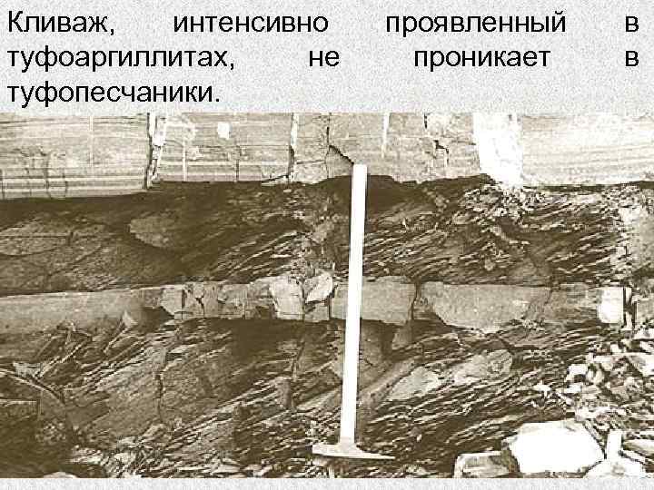 Кливаж, интенсивно туфоаргиллитах, не туфопесчаники. проявленный проникает в в 