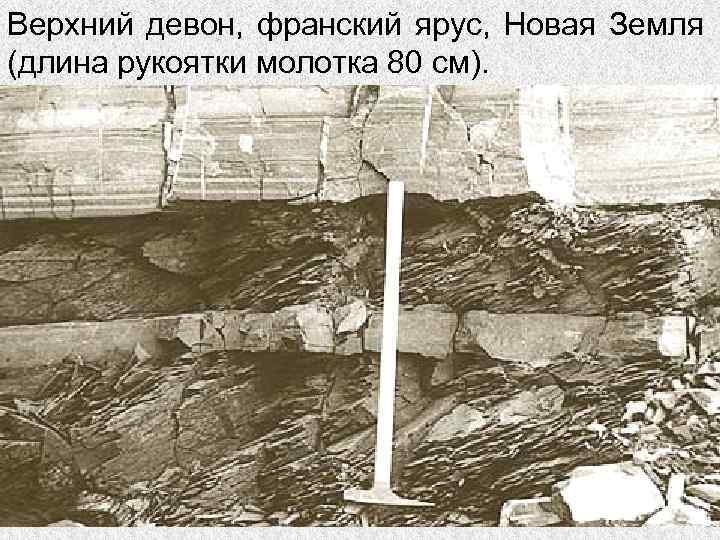 Верхний девон, франский ярус, Новая Земля (длина рукоятки молотка 80 см). 